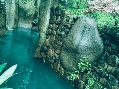 -杭州植物园