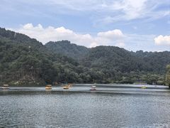 -黔灵山公园