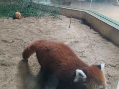 -石家庄极地海洋世界