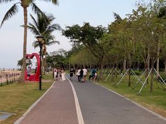 -野狸岛