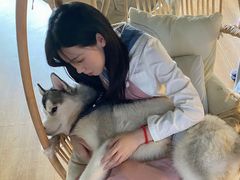 -Husky Go! 哈士奇体验馆·宠物咖啡厅狗咖