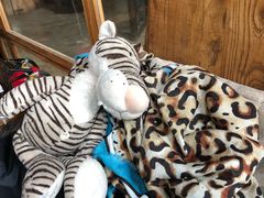 娃娃-Africafe(非洲咖啡)