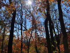 -阳台山自然风景区