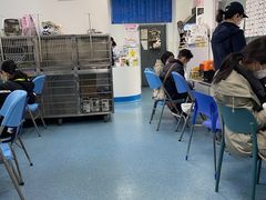 -北京赛佳动物医院