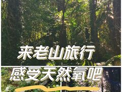 -老山国家森林公园