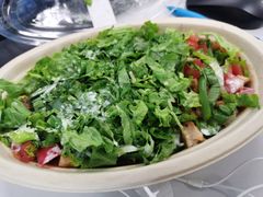 -油梨树AVOCADO TREE(嘉里中心店)