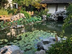 -尚贤河湿地