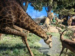 -国家自然博物馆