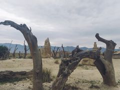 景点-镇北堡西部影城