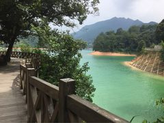 -广州市流溪河国家森林公园