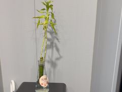 -田凤波推拿.按摩养生(幸福店)