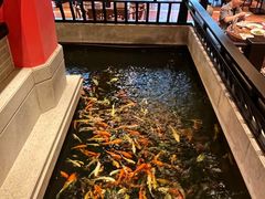 -龙悦湾酒家·八阵鱼生·渔人码头店