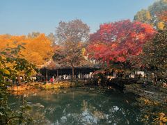 -惠山古镇·寄畅园