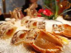 -三号黄浦会Canton Table