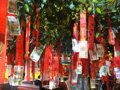 大堂-京氣春饼(机场店)