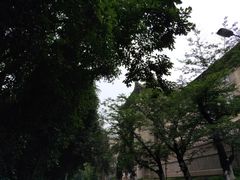 -武汉大学-樱园