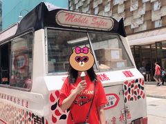 -富豪雪糕车流动点(尖沙咀店)