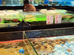-广东道至正餐厅(区庄店)