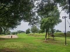 -盘龙城国家考古遗址公园