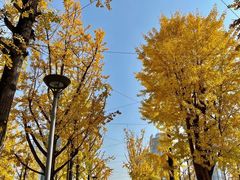 -两江幸福广场