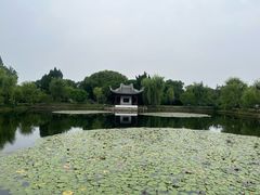 -无锡蠡湖国家湿地公园-蠡园