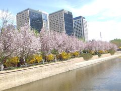 -元大都城垣遗址公园