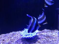 -皇家极地海洋世界-售票处