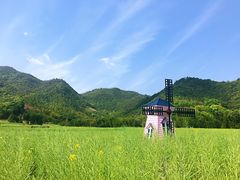-新建村梅花