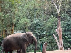 -广州长隆旅游度假区