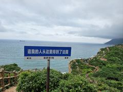 -杨梅坑
