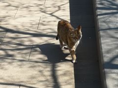 -剔八谷山西面馆(南内环店)