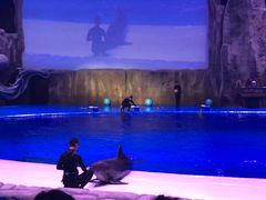 -华夏文旅海洋公园