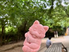 -常州淹城野生动物世界