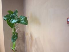 -泰澜·泰式古法按摩SPA(华泰广场店)