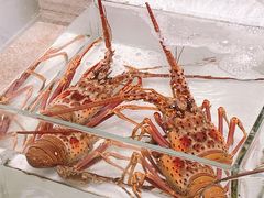 -万龙洲海鲜(大兴绿地缤纷城店)