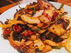 -柴窝堡22号辣子鸡·传承新疆菜