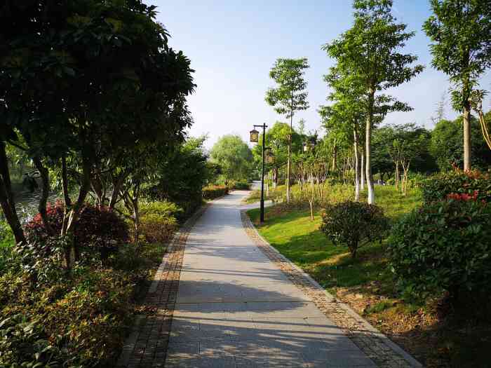 三义公园-"盛夏的到来,意味着夹竹桃占领了整个杭城."-大众点评移动版