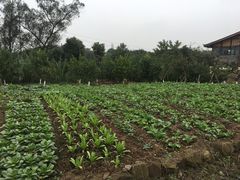 -驿舍·民國老营房院子私房菜(科学会堂店)