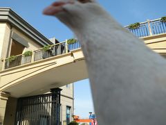-王府井奥莱临潼小镇(临潼店)