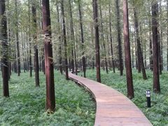 android_upload_pic-上海怡沁园度假酒店