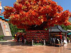-芜湖方特东方神画