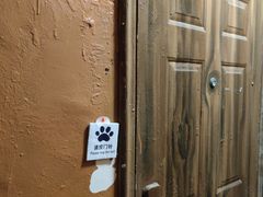 -猫猫幼稚园·撸猫·桌游·电玩