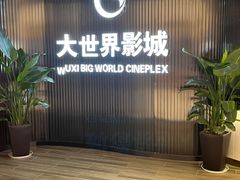 -大世界影城(无锡江南大悦城IMAX激光店)