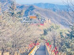 -妙峰山风景名胜区