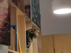 -有何Book(六堰体育馆店)