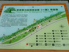 -宝安西湾红树林湿地公园