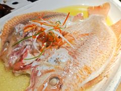 -应天大明王朝·南京菜(中山陵店)