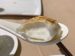 西杏炸鲜奶-金苑海鲜酒家(来魅力店)