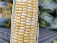 -合家亲妈妈菜·博山菜老字号(联通路店)