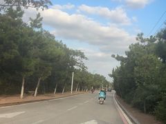 -养马岛旅游度假区